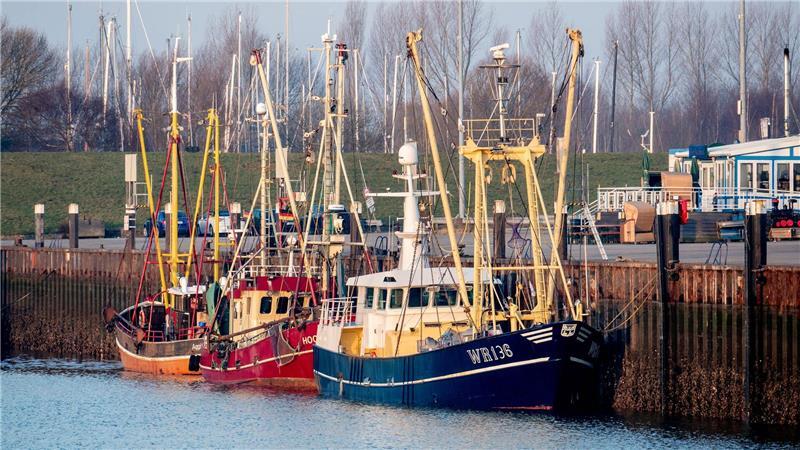 Gemessen am Umsatz meldeten die Krabbenfischer ein „Rekordjahr“.