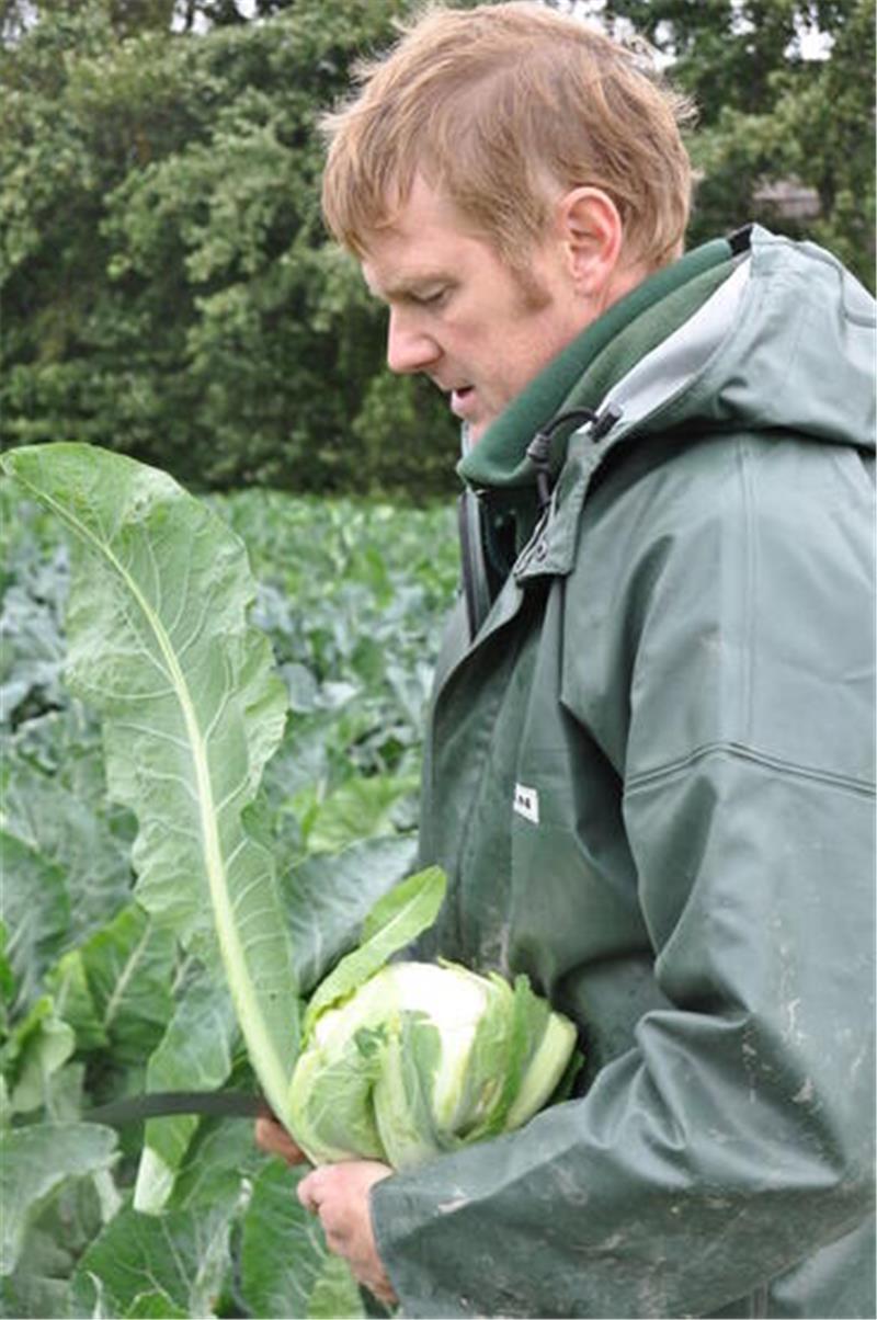 Gemüsebauer Torsten Haack aus Otterndorf (Archivbild).