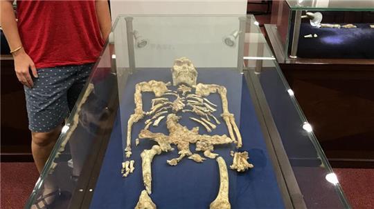 Geochemikerin Tina Lüdecke steht neben „Little Foot“, einem bemerkenswert gut erhaltenen Skelett des Australopithecus.