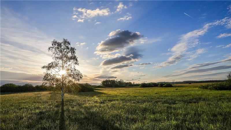 Launisches Wetter zum Montag – Hitze zur Wochenmitte Gerade im Süden Deutschlands zeigt sich die Sonne schon zum Wochenstart.