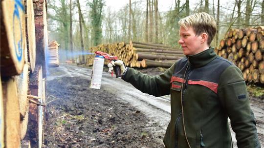 Geschlagene Bäumstämme markieren steht für Melanie Offermanns aktuell nicht auf der Tagesordnung.