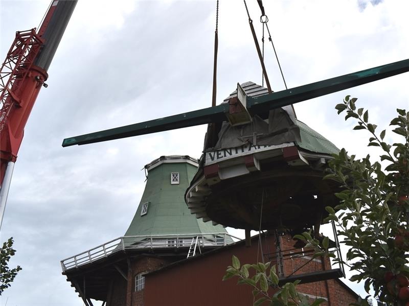 Getrennt für die Reparatur: Die Mühlenhaube der „Venti Amica“ hängt in luftiger Höhe am Kran. Foto: Vasel