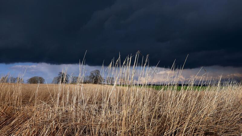 Sturmböen und Gewitter: Bahnverkehr eingeschränkt Gewitterwolken ziehen über ein Feld: Das Wetter am Abend ist durchwachsen.