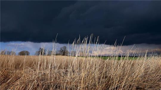 Gewitterwolken ziehen über ein Feld: Das Wetter am Abend ist durchwachsen.