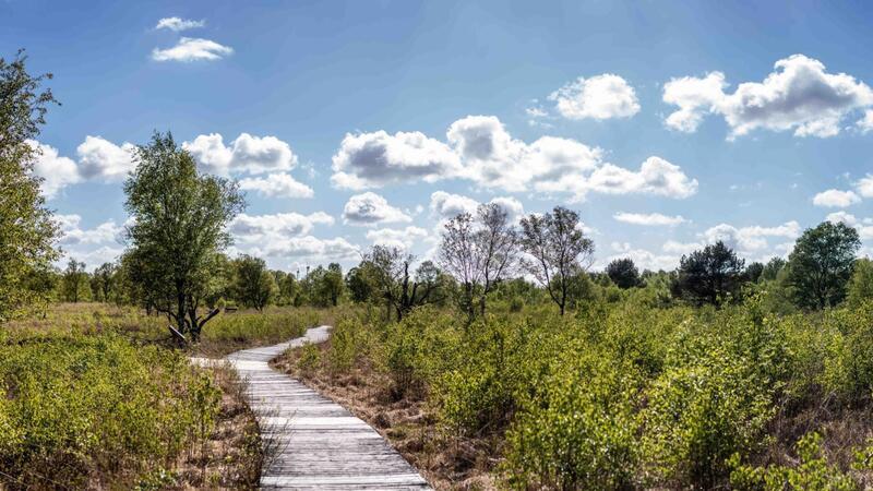 Wandern: Reiseführer mit den 20 schönsten Touren im Elbe-Weser-Raum Gleich mehrere Touren führen durch Moore, auch das Ahlenmoor in Wanna-Ahlenfalkenberg wird im Wanderreiseführer beschrieben.