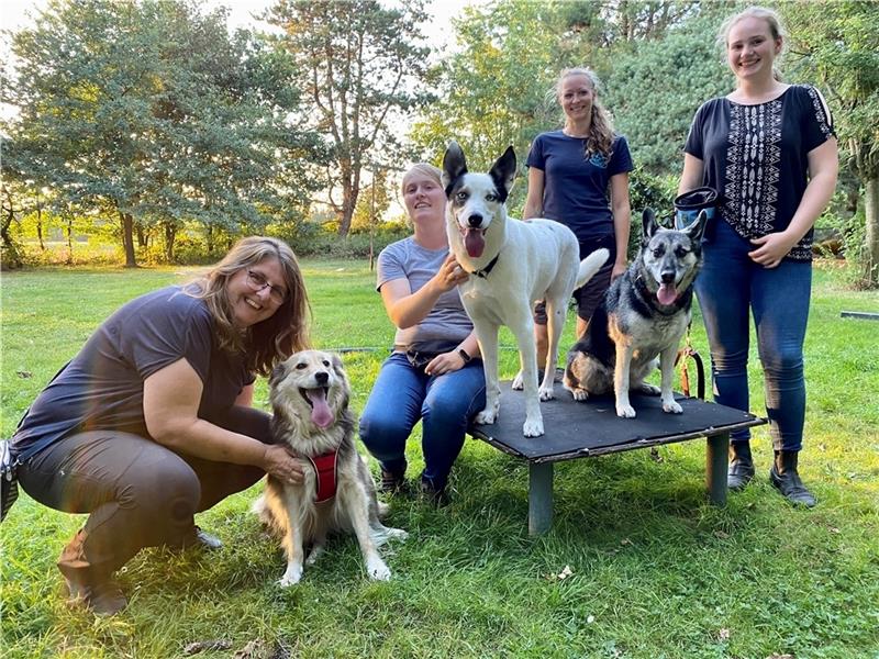 Gleichgesinnte nach dem gemeinsamen Training auf dem Hundeplatz in Wiegersen: Tanja von der Bey mit „Pina“ (von links), Katrin Thomas mit „Yoshi“, Coach Franziska Lange und Hendrike Bösch mit „Bria“. Fotos: Lepél