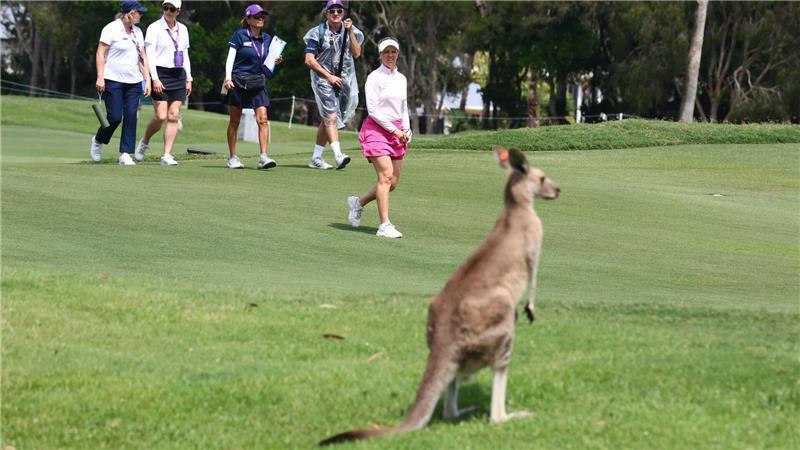 Gold Coast (Australien): Ungewohnter Zuschauer – die Finnin Noora  Komulainen trifft in der WPGA-Finalrunde auf ein Känguru.