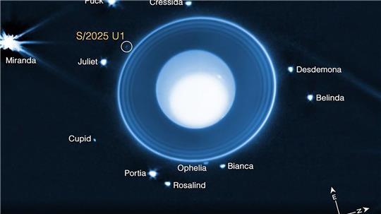 Grafik auf Basis von James-Webb-Daten: Uranus mit seinen Ringen und bekannten Monden. Eingekreist ist der neu entdeckte, nur rund zehn Kilometer große Mond S/2025 U1.