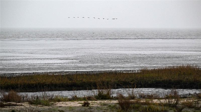 Tragischer Fund: Leiche auf Sandbank vor Küste Cuxhavens entdeckt Grausamer Fund vor dem Cuxland. Foto: Sina Schuldt/dpa (Symbolbild)