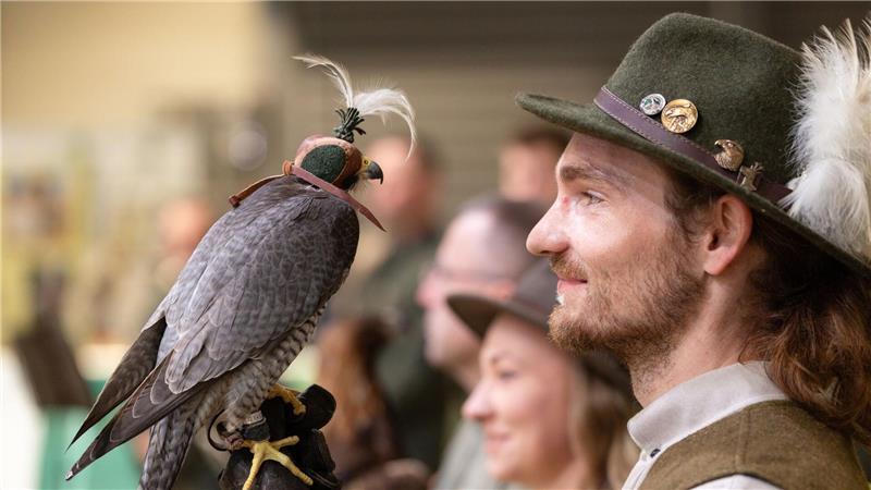Greifvogel zum Messebeginn: Wanderfalke zieht bei Eröffnung in der Messe Erfurt die Blicke auf sich