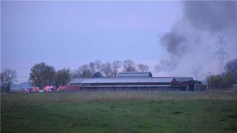 Neun Pferde sterben bei Bauernhof-Brand Großbrand im Landkreis Wesermarsch: Die Rauchsäule, die über dem brennenden Stallgebäude stand, war kilometerweit zu sehen.