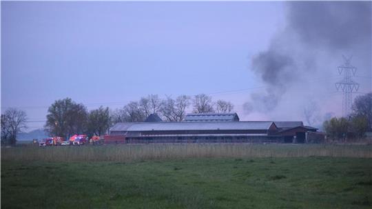 Großbrand im Landkreis Wesermarsch: Die Rauchsäule, die über dem brennenden Stallgebäude stand, war kilometerweit zu sehen.