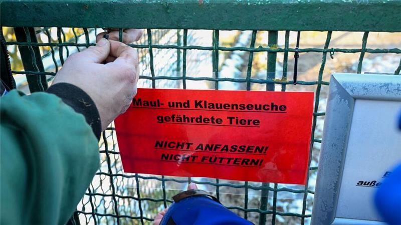 Maul- und Klauenseuche: London verschärft Reisereglungen Großbritannien reagiert auf den Ausbruch der Maul- und Klauenseuche in Deutschland mit verschärften Regeln.