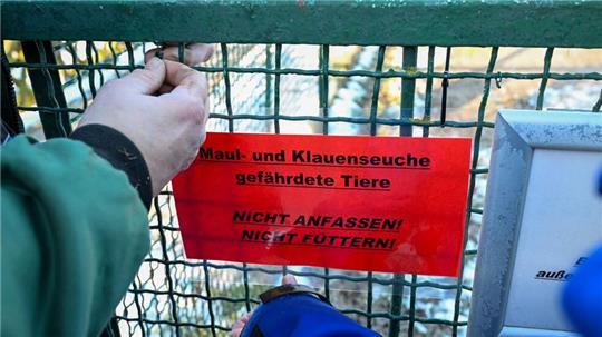 Großbritannien reagiert auf den Ausbruch der Maul- und Klauenseuche in Deutschland mit verschärften Regeln.