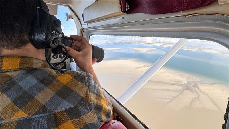 Flug zwischen Watt und Wolken – so werden Seehunde gezählt Große Gruppen von Seehunden fotografiert Ole Stejskal.