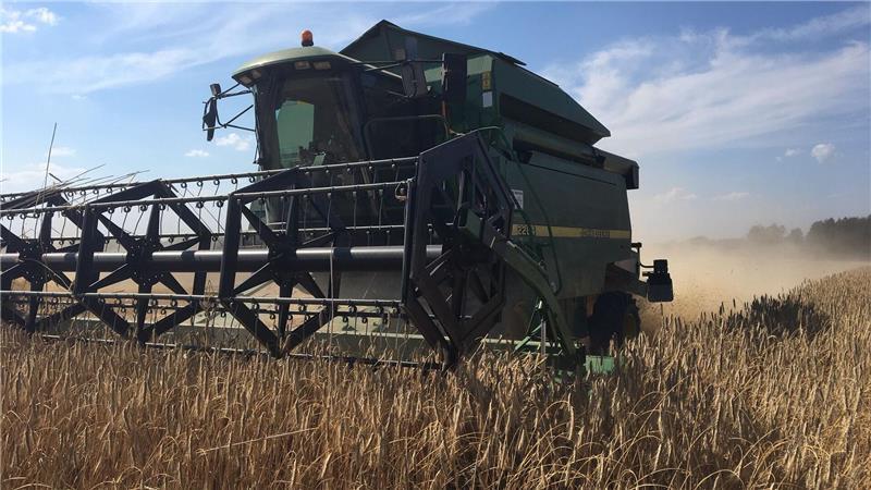 Große landwirtschaftliche Maschinen, wie der Mähdrescher, verbrauchen besonders viel Diesel.