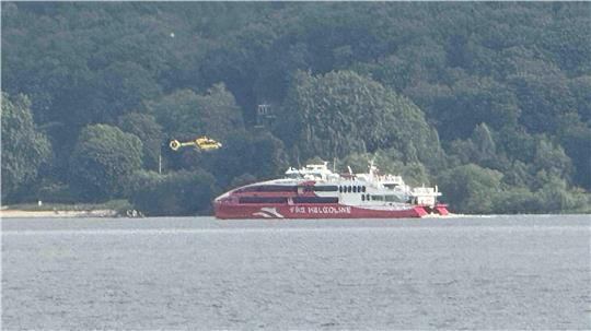 Großeinsatz auf der Elbe: Unter anderem werden Hubschrauber eingesetzt, um den vermissten Schwimmer zu finden.