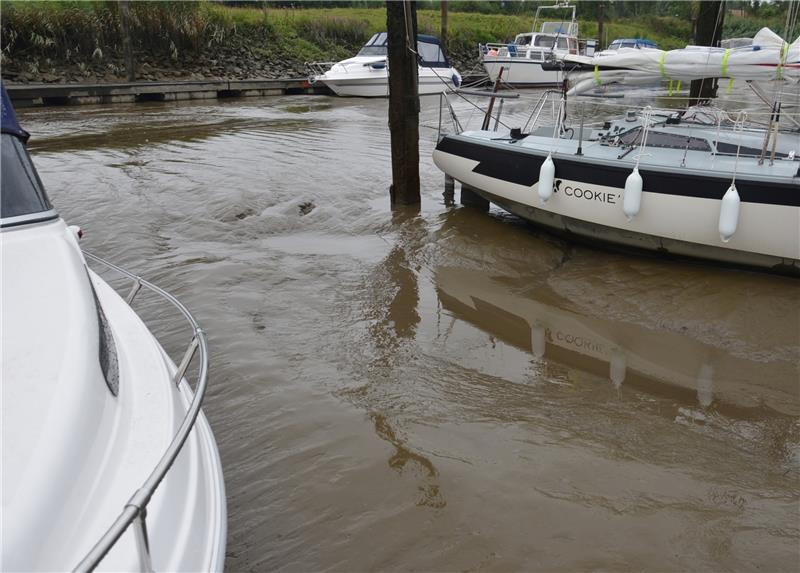 Großes Problem in der Schwinge: die Verschlickung . Fotos Strüning