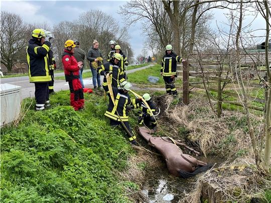 Großtierretter Michael Böhler (links) erklärt den Feuerwehrleuten die Rettung von Pferdedummy „Hope“ mit den Spezialmaterialien. Fotos: Vasel