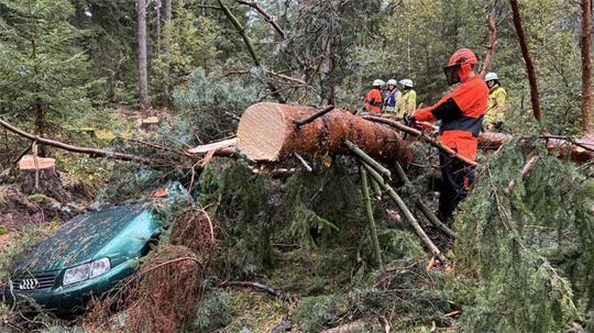 Großübung: Der Waldbrand rückt näher. Währenddessen rücken Feuerwehrleute zu den unter umgekippten Bäumen in ihren Autos eingeklemmten Verletzten vor.