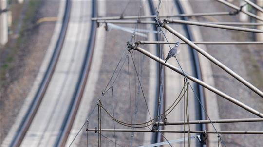 Grund für die Evakuierung war eine heruntergerissene Oberleitung. (Symbolbild)