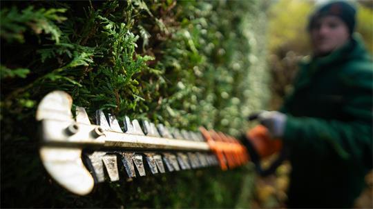 Grundsätzlich ist der Eigentümer des Grundstücks zuständig, auf dem die Hecke steht. Er entscheidet über Pflege und Schnitt und trägt die Kosten. 