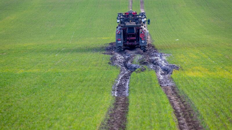 Gülle als organisches Düngemittel von einem Traktor mit Schleppschlauchverteiler ausgebracht.