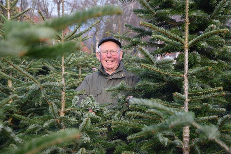Günter Poppe betreibt seit 40 Jahren seine Weihnachtsbaumkulturen auf 13 Hektar. Foto Nowottny