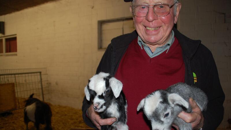 Günter Poppe mit dem Nachwuchs im Ziegenstall.