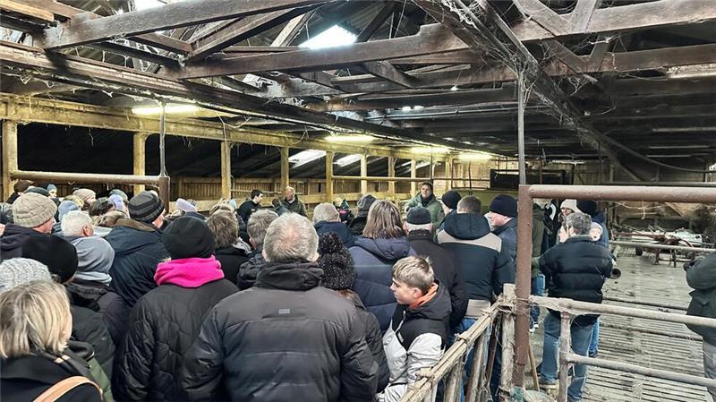 Gut 200 Interessenten verfolgten die Auktion der jungen Zuchtstuten in Issendorf. Nach 15 Minuten hatte Auktionator Jörg-Wilhelm Wegener alle Pferde versteigert.