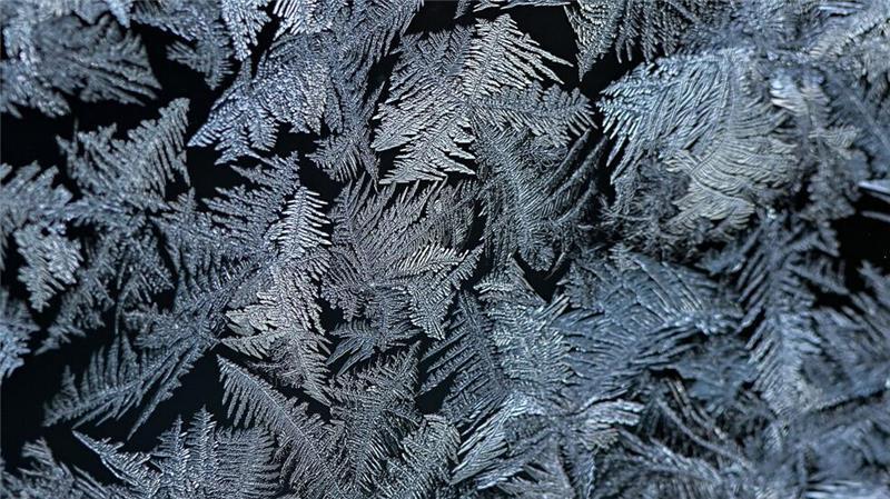 Warum auch bei Kälte kaum noch Eisblumen wachsen Häufig sehen Eisblumen wie Farnblätter aus. (Archivbild)