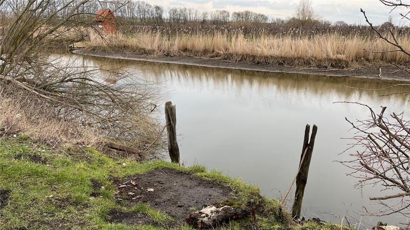 Hafen-Wettern und Borsteler Binnenelbe sind ein wichtiger Wasserspeicher.
