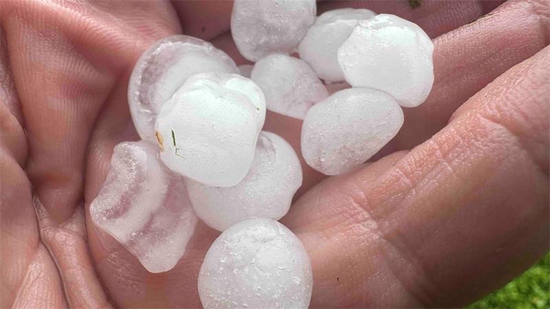 Unwetter: Obstbau in Ladekop von Hagel eiskalt erwischt Hagelkörner - fast so groß wie ein Tischtennisball.