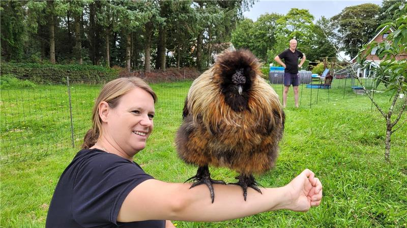 Hahn Blacky kam bereits als Küken zu Jessica und Thomas Brikey nach Nordholz. Ein Grund, warum er so zahm und menschenbezogen ist. Foto: Leuschner
