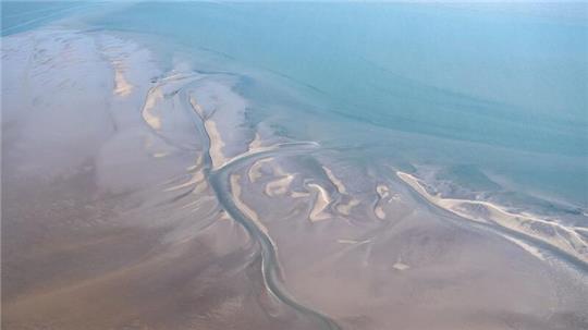 Hai-Experten haben in der Nordsee zwischen der ostfriesischen Insel Borkum und den westfriesischen Inseln in den Niederlanden ein Gebiet eingegrenzt, in dem sich regelmäßig neugeborene und junge Hundshaie aufhalten. (Archivbild)