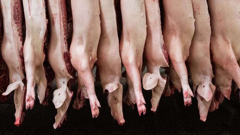Preisaufschlag auf Fleisch wird konkreter – Was auf Verbraucher zukommt Halbierte Schweine hängen in einem Schlachthof.