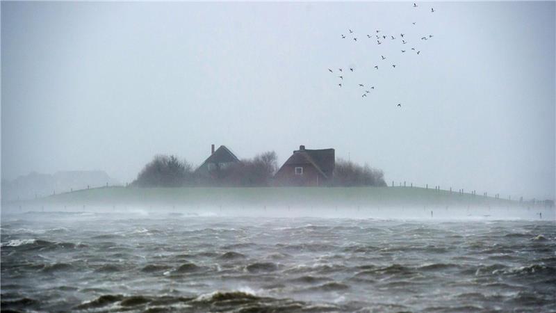 Surfende Schnecken, wandernde Inseln: 40 Wattenmeer-Fakten Halligen werden bei Sturmfluten teils überspült. (Archivbild)