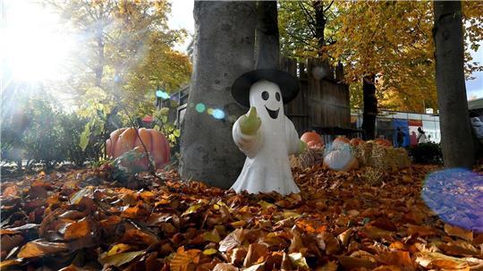 Bilder des Tages Halloween-Atmosphäre in München: Bavaria Filmstadt verwandelt sich zur Spooky Tour