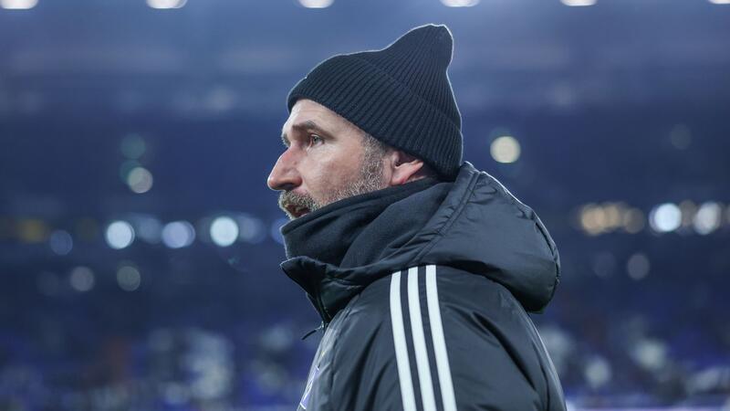 Tennisbälle auf dem Rasen: Spielunterbrechung auf Schalke Hamburgs Trainer Tim Walter kommt ins Stadion.