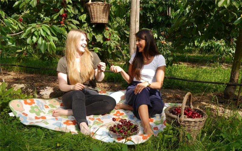 Handan Gök und Catharina Wenzel vom Tourismusverein Altes Land machen ein Picknick unterm Kirschbaum . Foto Tourismusverein Altes Land