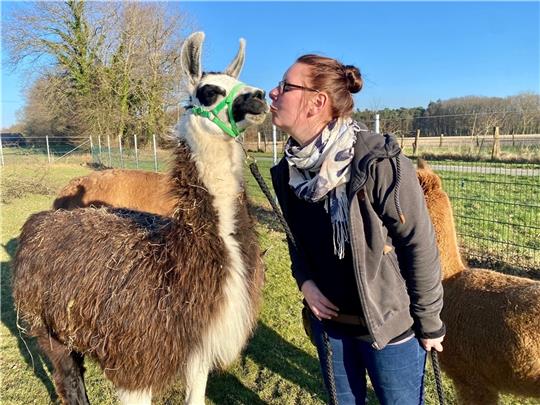 Hanna Brinkmann und Otto sind ein gutes Team. Demnächst wollen der Lama-Wallach und seine Versorgerin beim ersten tiergestützten Speeddating Tinder Konkurrenz machen. Fotos: Lepél