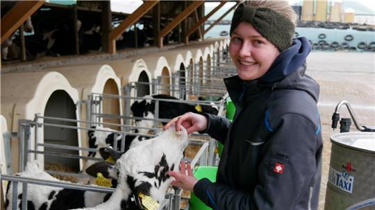 Hanna Kück nimmt sie sich die Zeit, um mit dem Nachwuchs zu spielen oder zu schmusen. Doch bei fast 400 Kälbern und Jungvieh ist es nicht einfach.