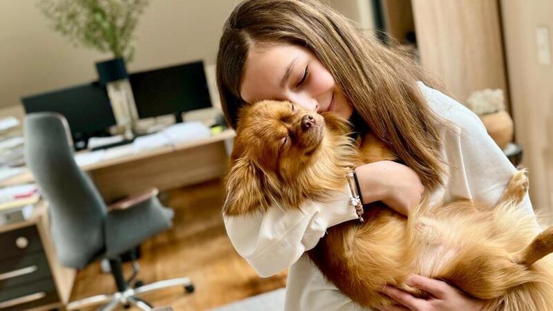 Hund totgebissen: „Der Pitbull hat mir Cookie aus dem Arm gerissen“ Hanna mit ihrem Chihuahua „Cookie“. Er überlebte die Attacke der großen Hunde nicht.
