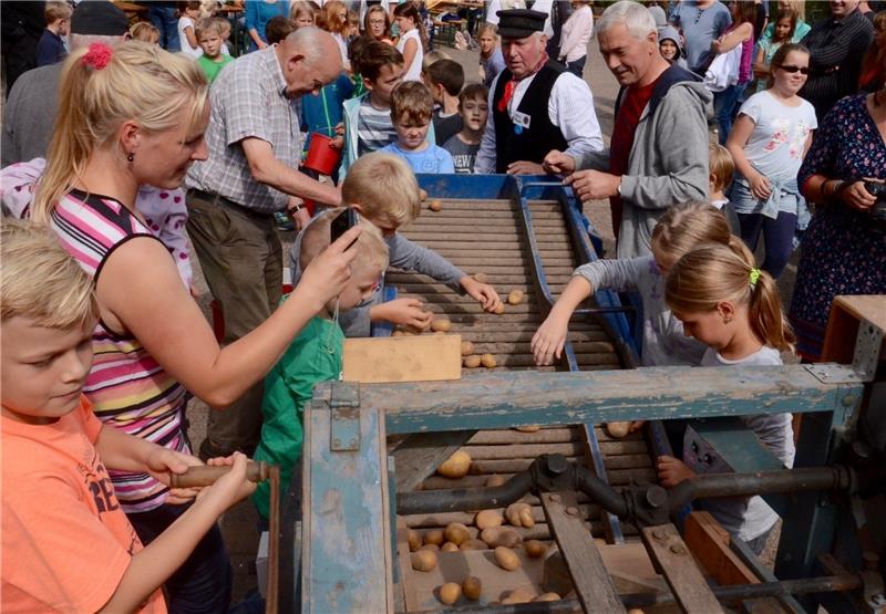 Hans Prigge (Mütze, rotes Tuch) erklärt wie Kartoffeln sortiert werden. Danach gibt es Butterkuchen aus dem Reither Holzbackofen. Foto Fehlbus
