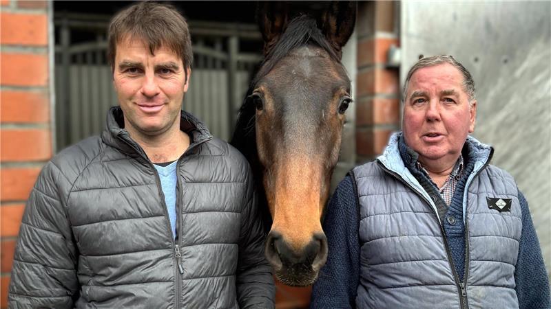Triumph beim Masters in Verden: Pferdezucht aus Fredenbeck dominiert Harm (39) und Hans-Jürgen Wiebusch (71) betreiben erfolgreich gemeinsam einen Stall für Springpferde.