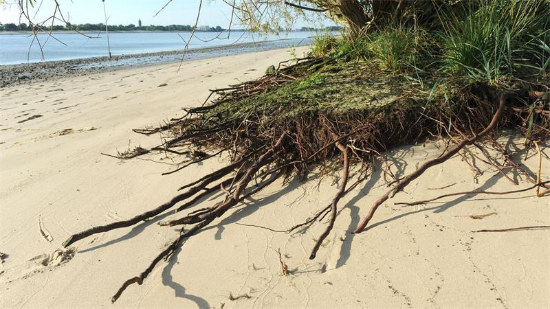 Verborgene Welten – Unbekannte Inseln in Norddeutschland Harriersand ist Deutschlands größte Flussinsel. (Archivbild)