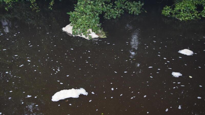 Haufen aus Schaum in unterschiedlicher Größe treiben auf dem Viver in Höhe der Straße Zwischen den Brücken. Das Phänomen wird voraussichtlich noch einige Tage andauern.