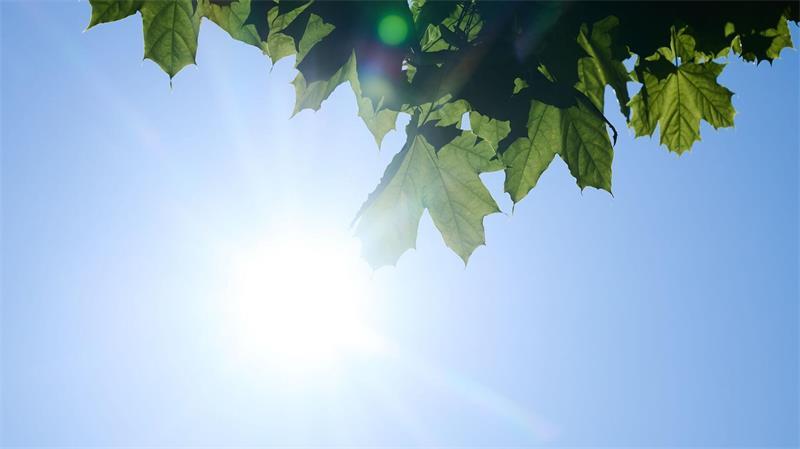Hauptgrund für die Entwicklung sind laut Forschern weniger Wolken. (Symbolbild)