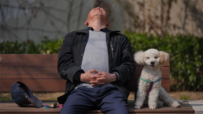Fälle von Tierqual sorgen in China zunehmend für Aufschrei Haustiere werden in China immer beliebter, während die Geburtenrate auf einem Rekordtief steht. (Symbolbild)