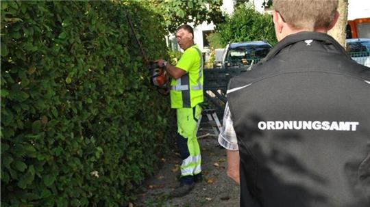 Hecken dürfen ab Anfang März nicht mehr radikal zurückgeschnitten werden.